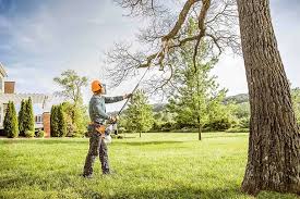 How Our Tree Care Process Works  in  Concordia, NJ